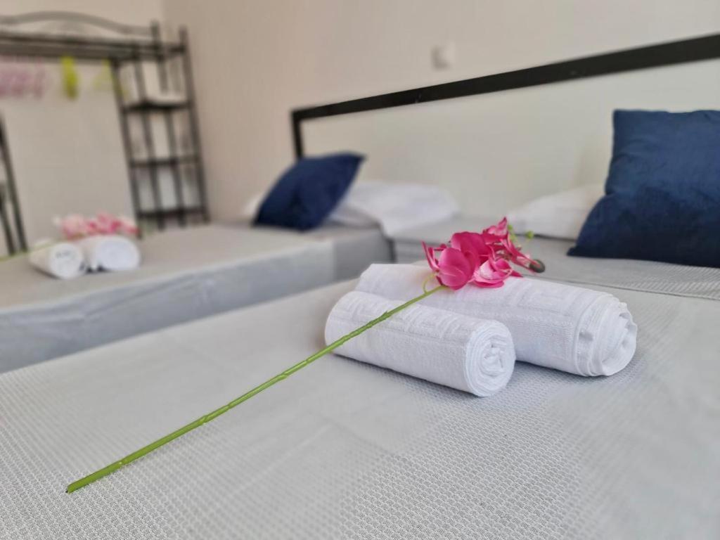 Franmay Apartments - 7 Modern Apartments Near The Beach & City, Perfect For Nomads, Travellers, Families, Watersports! Santa Maria Zewnętrze zdjęcie